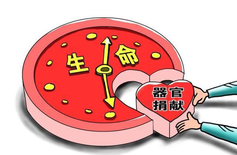 器官移植:生命的桥梁