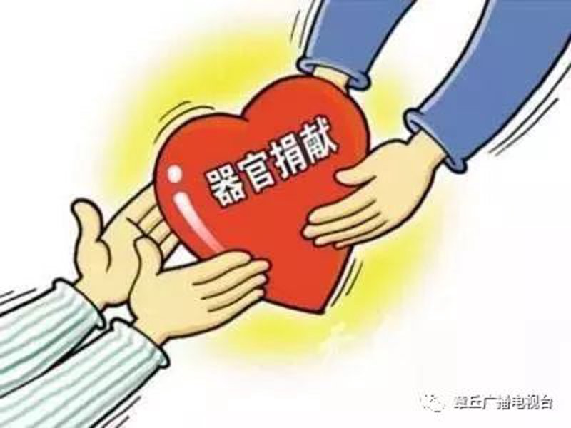 器官移植救助