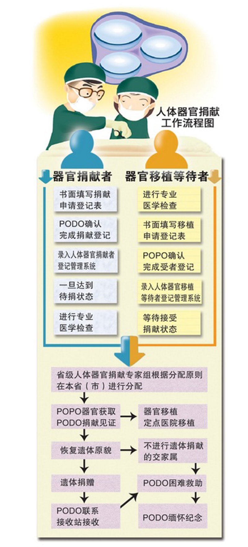 器官捐赠：爱的传递